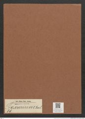 Toxarium sp. (de-Toni-Nr.: Genus 69) Zeichnungen Sammlung Grunow Mappe 02907 (Herbarium_W_Grunow_drawings_Folder_02907)